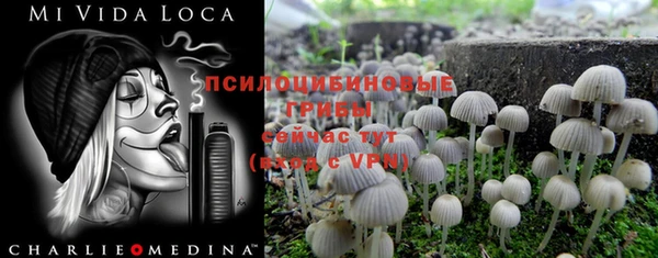 спайс Майский
