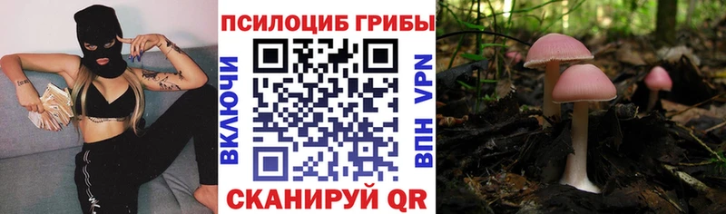 Галлюциногенные грибы Psilocybine cubensis  Купить  Усть-Джегута 